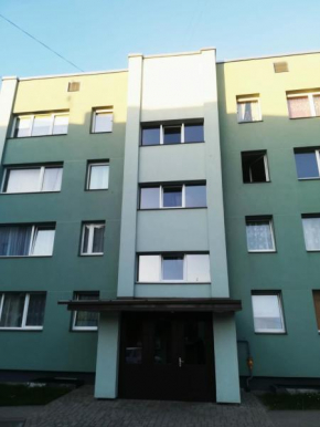  Viestura apartamenti  Цесис